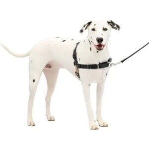 Easy Walk No-Pull Dog Harness & Retractable Lead Set - Large